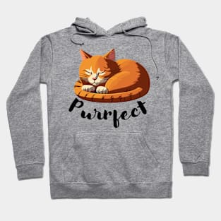 Purrfect Orange Cat Hoodie